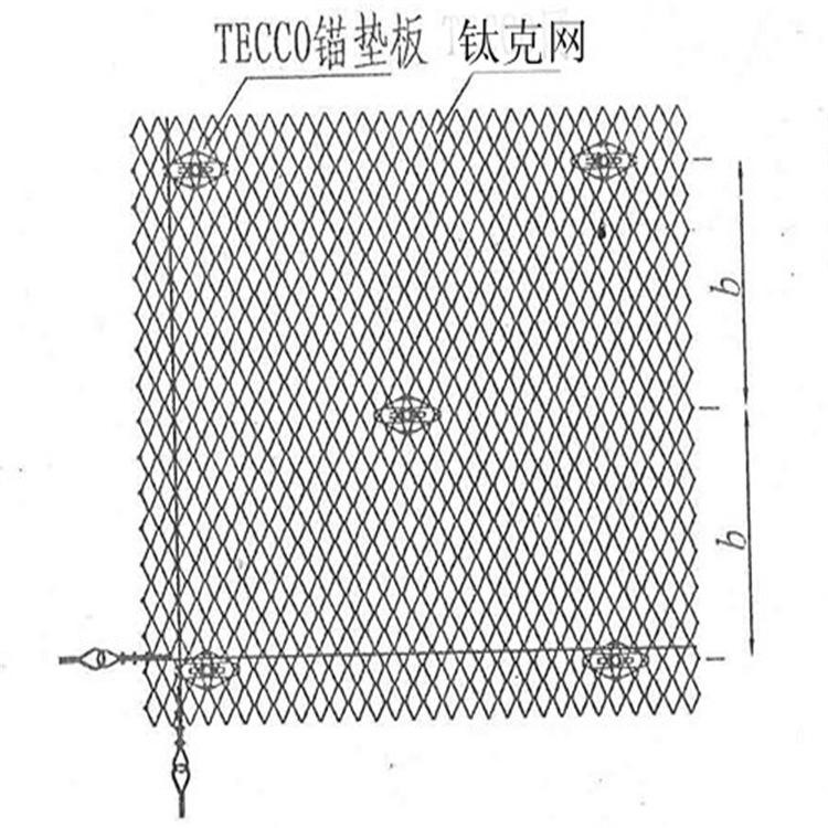 鈦克網(wǎng)6_副本.jpg